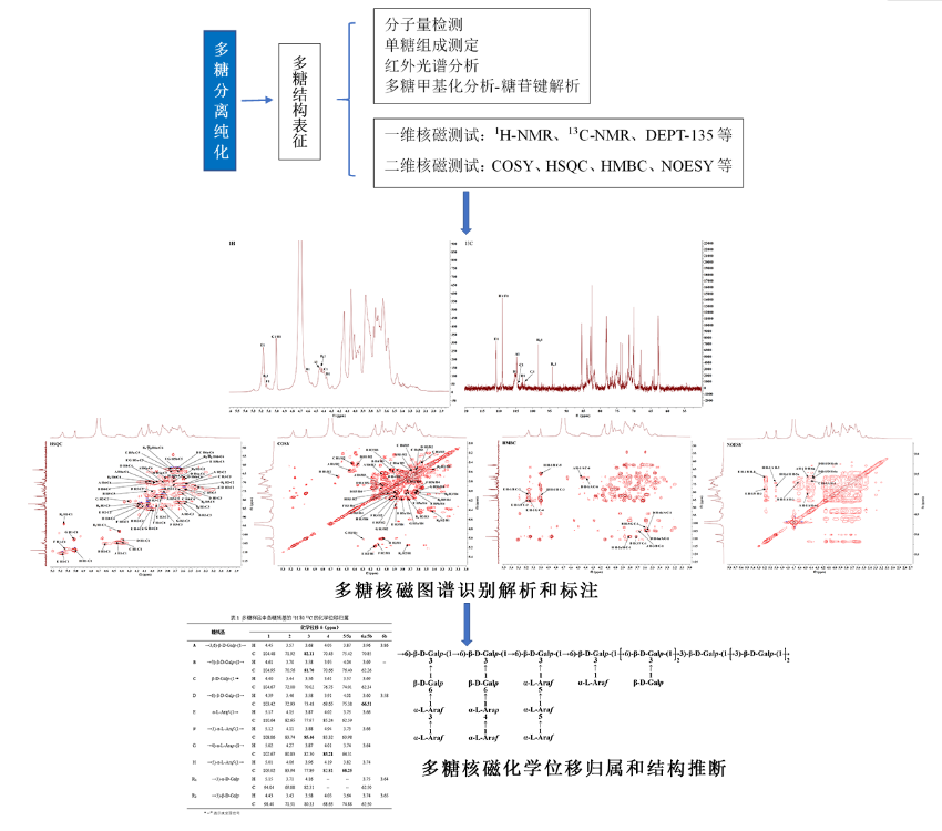 多糖結構核磁圖譜分析