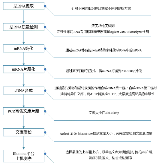 真核無(wú)參轉(zhuǎn)錄組測(cè)序1.png