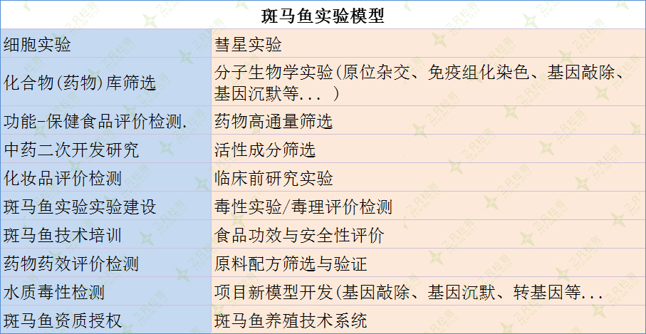 斑馬魚實(shí)驗(yàn)?zāi)Ｐ蜋z測(cè)項(xiàng)目一覽表