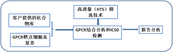 安必奇GPCR篩選的一般步驟