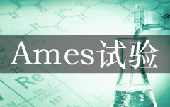 Ames試驗