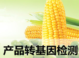 產(chǎn)品轉(zhuǎn)基因檢測(cè)