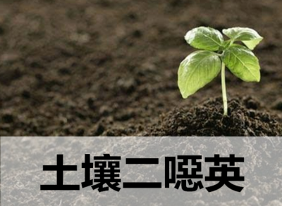 土壤和沉積物中二惡英類毒性測定